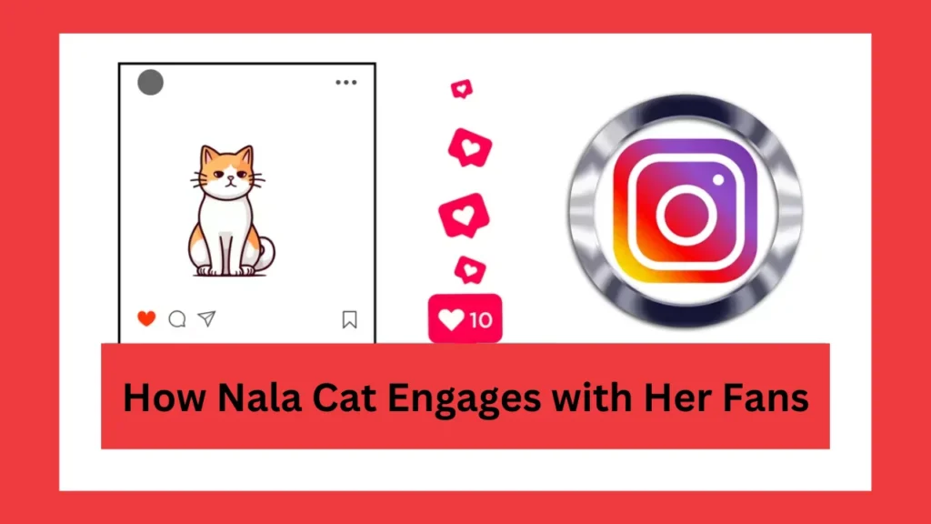 meet nala cat the instagram star with a ton of fo - tymoff How Nala Cat Engages with Her Fans