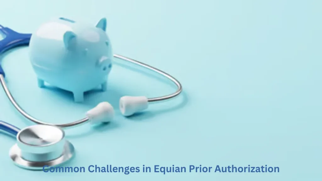 equian prior authorization Common Challenges in Equian Prior Authorization